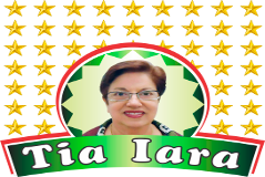 TIA IARA TURISMO